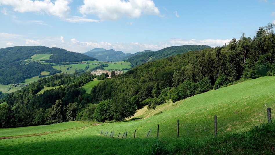 Bike Riding Weizer Almenland-Bike Tour, Variant 1:  Weiz - Naas - St. Kathrein - Touren-Impression #2.3 | © Oststeiermark Tourismus
