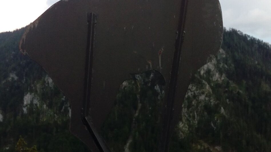 Mountain Hike Der Gams in Wildalpen - Touren-Impression #2.2 | © TV Gesäuse