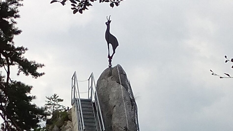Mountain Hike Der Gams in Wildalpen - Touren-Impression #2.4 | © TV Gesäuse
