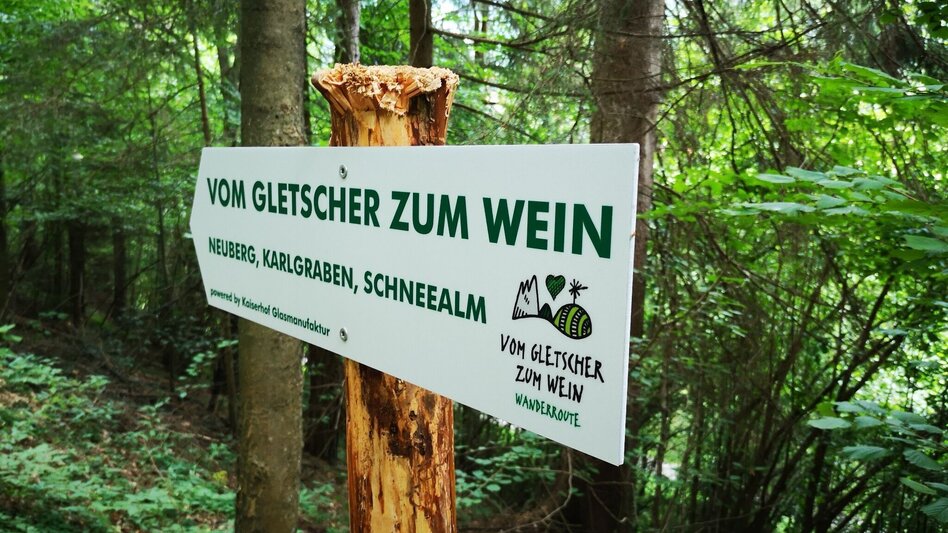 Family hiking trails Walk to the Sieberwarte near Neuberg an der Mürz in the Mürzer Oberland Nature Park - Touren-Impression #2.10 | © TV Hochsteiermark