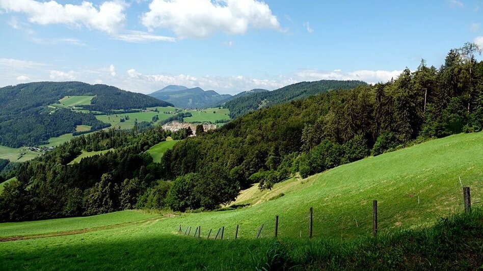 Mountain Biking Weizer Almenland-bike tour, variant 3: St. Kathrein - Arzberg - Weiz - Touren-Impression #2.1 | © Oststeiermark Tourismus
