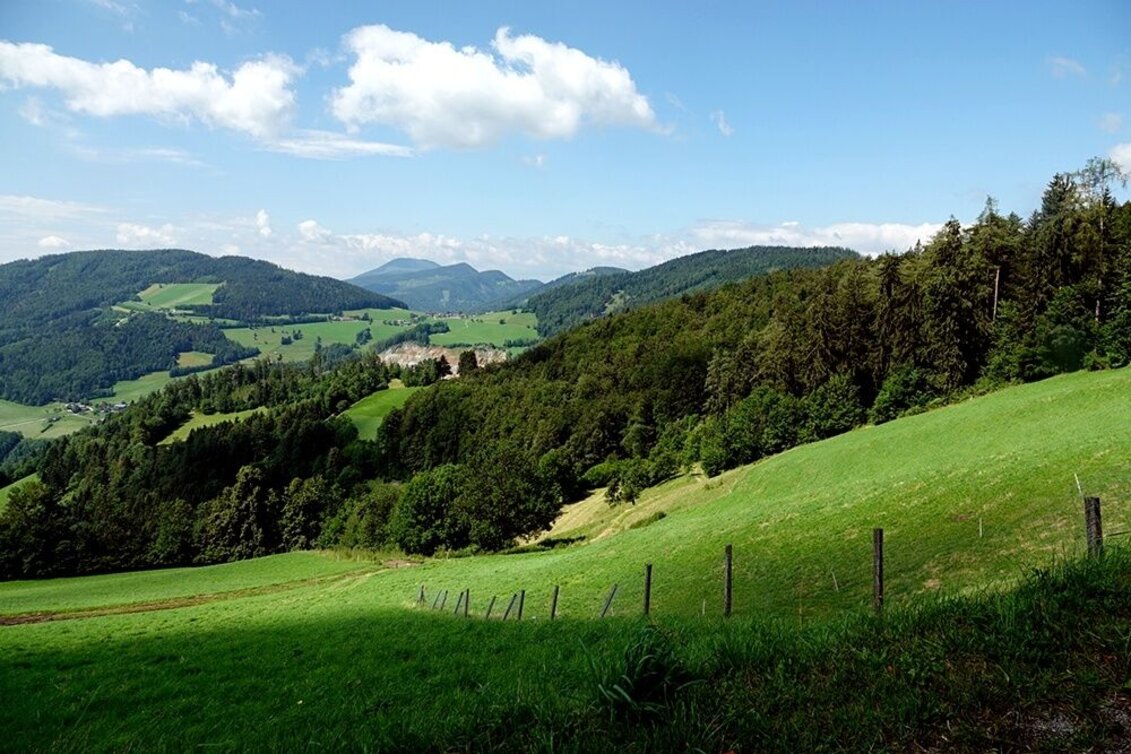 Mountain Biking Weizer Almenland-bike tour, variant 3: St. Kathrein - Arzberg - Weiz - Touren-Impression #1 | © Oststeiermark Tourismus