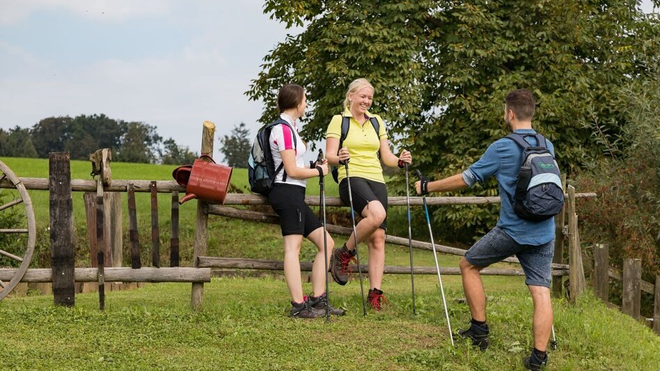 Hiking route Wine & Mill Trail (Wein- & Mühlenweg) - Touren-Impression #2.1 | © Erlebnisregion Thermen- & Vulkanland