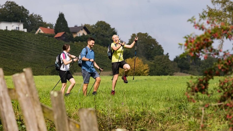Hiking route Wine & Mill Trail (Wein- & Mühlenweg) - Touren-Impression #2.2 | © Erlebnisregion Thermen- & Vulkanland