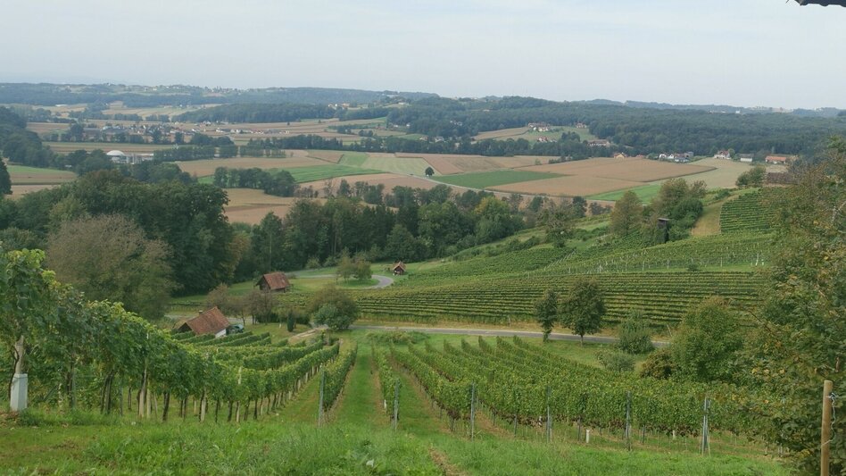 Hiking route Prof.-Frede-Strohmeier-Way - Touren-Impression #2.6 | © Erlebnisregion Thermen- & Vulkanland