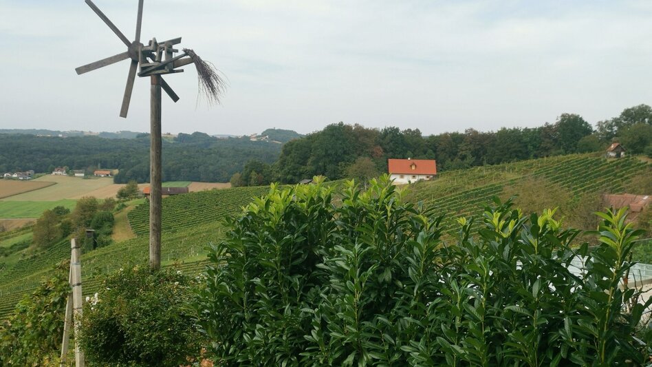 Hiking route Prof.-Frede-Strohmeier-Way - Touren-Impression #2.7 | © Erlebnisregion Thermen- & Vulkanland