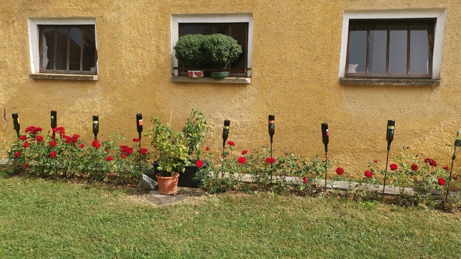 Hiking route Prof.-Frede-Strohmeier-Way - Touren-Impression #2.10 | © Erlebnisregion Thermen- & Vulkanland