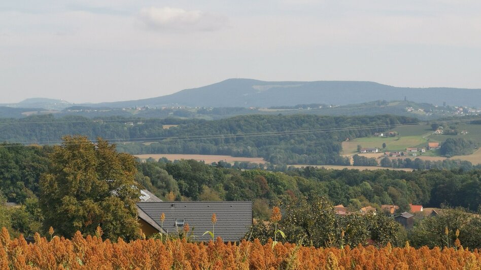 Hiking route Prof.-Frede-Strohmeier-Way - Touren-Impression #2.12 | © Thermen- & Vulkanland