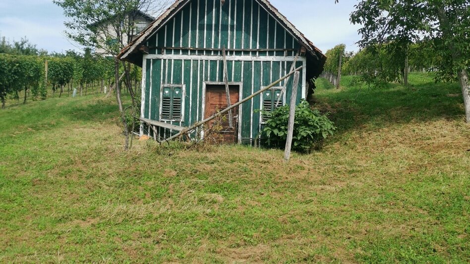 Hiking route Prof.-Frede-Strohmeier-Way - Touren-Impression #2.15 | © Thermen- & Vulkanland