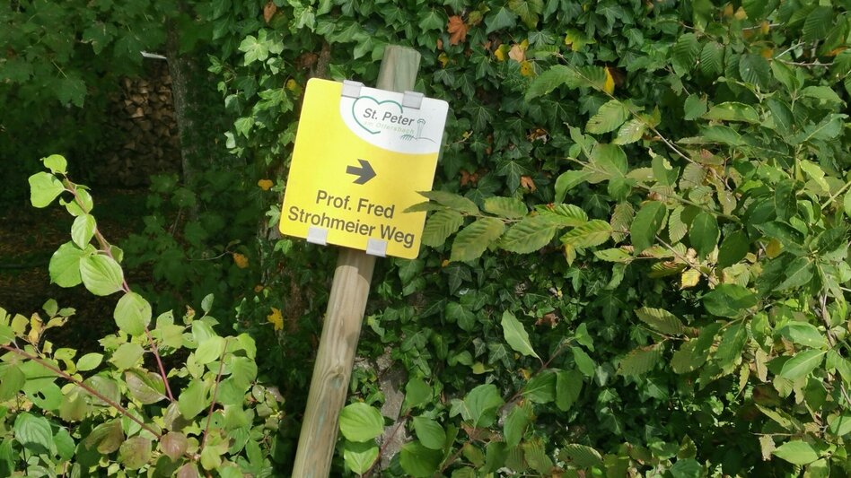 Hiking route Prof.-Frede-Strohmeier-Way - Touren-Impression #2.16 | © Thermen- & Vulkanland