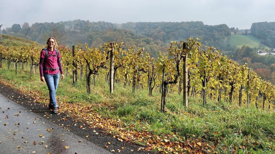 Hiking route Wine & Tower Trail (Wein- & Turmweg) - Touren-Impression #2.1 | © Thermen- & Vulkanland