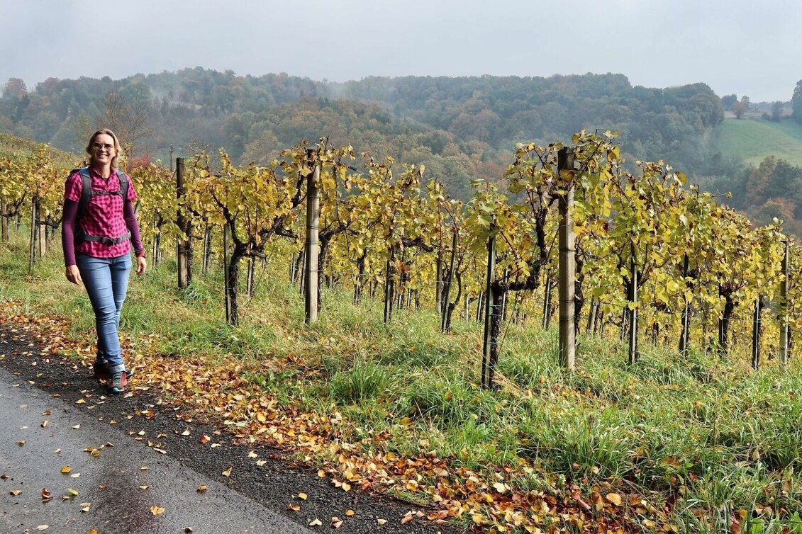 Hiking route Wine & Tower Trail (Wein- & Turmweg) - Touren-Impression #1 | © Thermen- & Vulkanland