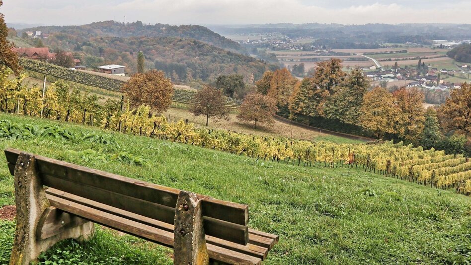 Hiking route Wine & Tower Trail (Wein- & Turmweg) - Touren-Impression #2.4 | © Thermen- & Vulkanland