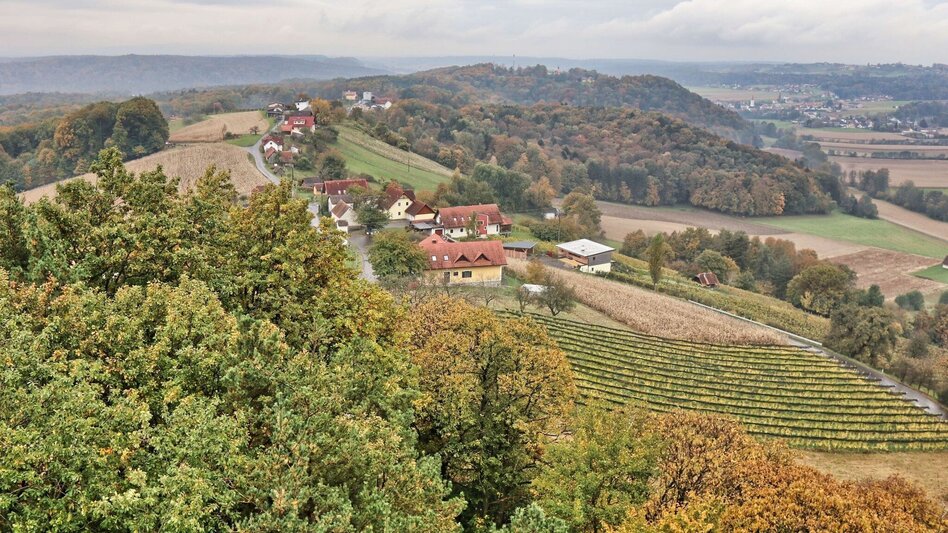 Hiking route Wine & Tower Trail (Wein- & Turmweg) - Touren-Impression #2.6 | © Thermen- & Vulkanland