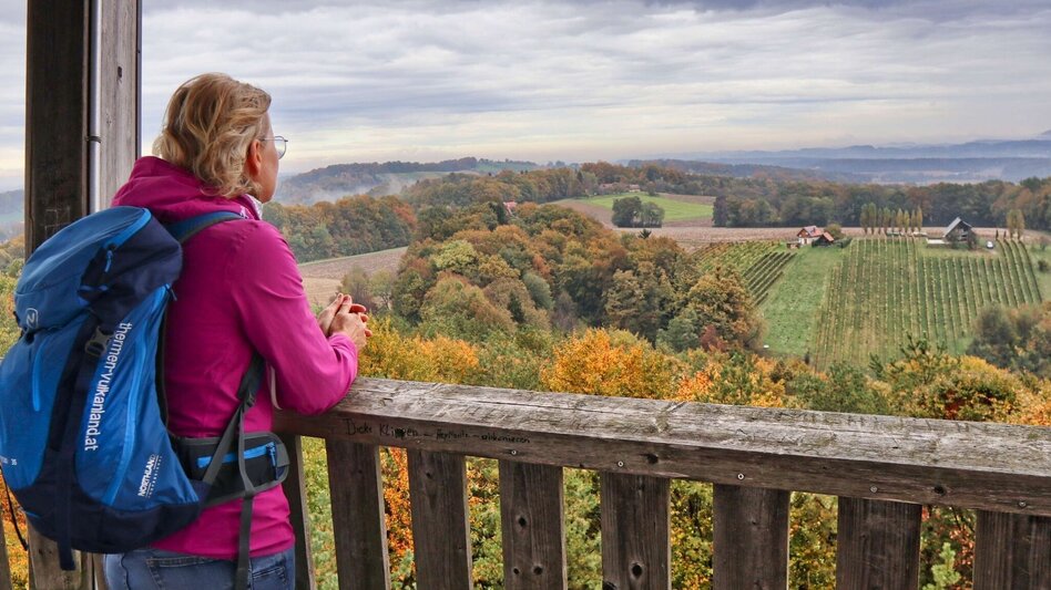 Hiking route Wine & Tower Trail (Wein- & Turmweg) - Touren-Impression #2.7 | © Thermen- & Vulkanland