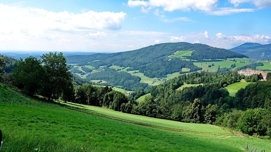 Bike Riding Weizer Almenland-Bike Tour, Variant 2: Weiz - Landscha - St. Kathrein - Touren-Impression #2.1 | © Oststeiermark Tourismus