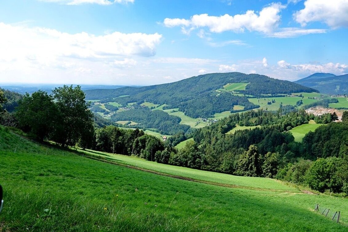 Bike Riding Weizer Almenland-Bike Tour, Variant 2: Weiz - Landscha - St. Kathrein - Touren-Impression #1 | © Oststeiermark Tourismus