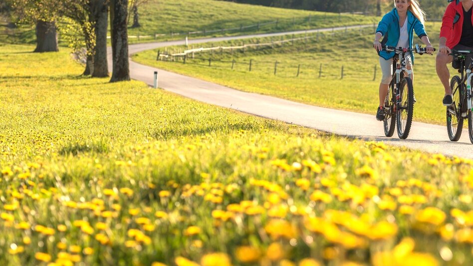 Bike Riding Weizer Almenland-Bike Tour, Variant 2: Weiz - Landscha - St. Kathrein - Touren-Impression #2.2 | © Oststeiermark Tourismus