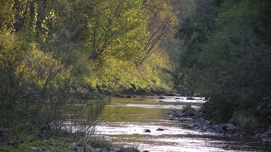 Hiking route Biotope Circuit Langenwang - Touren-Impression #2.1 | © Marktgemeinde Langenwang
