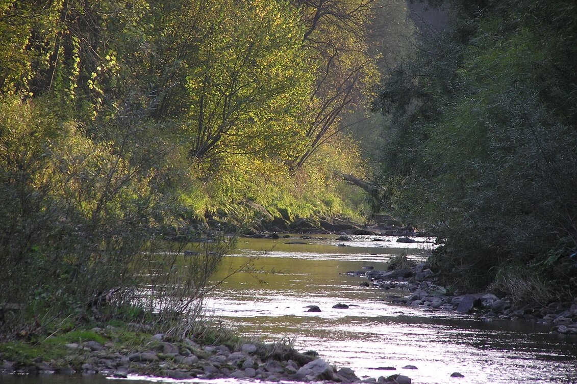 Hiking route Biotope Circuit Langenwang - Touren-Impression #1 | © Marktgemeinde Langenwang