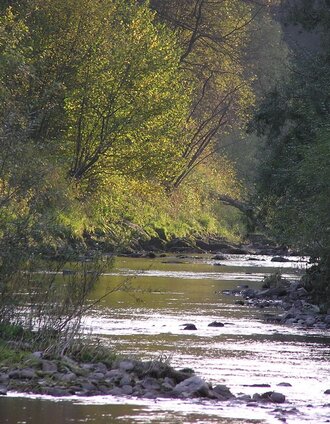 In der Langenwanger Au | Manfred Polansky | © Marktgemeinde Langenwang