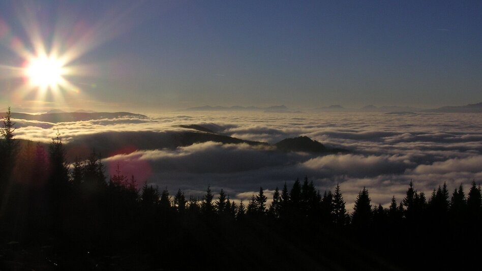 Hiking route Wind Park Loop Trail - Touren-Impression #2.1 | © Marktgemeinde Langenwang