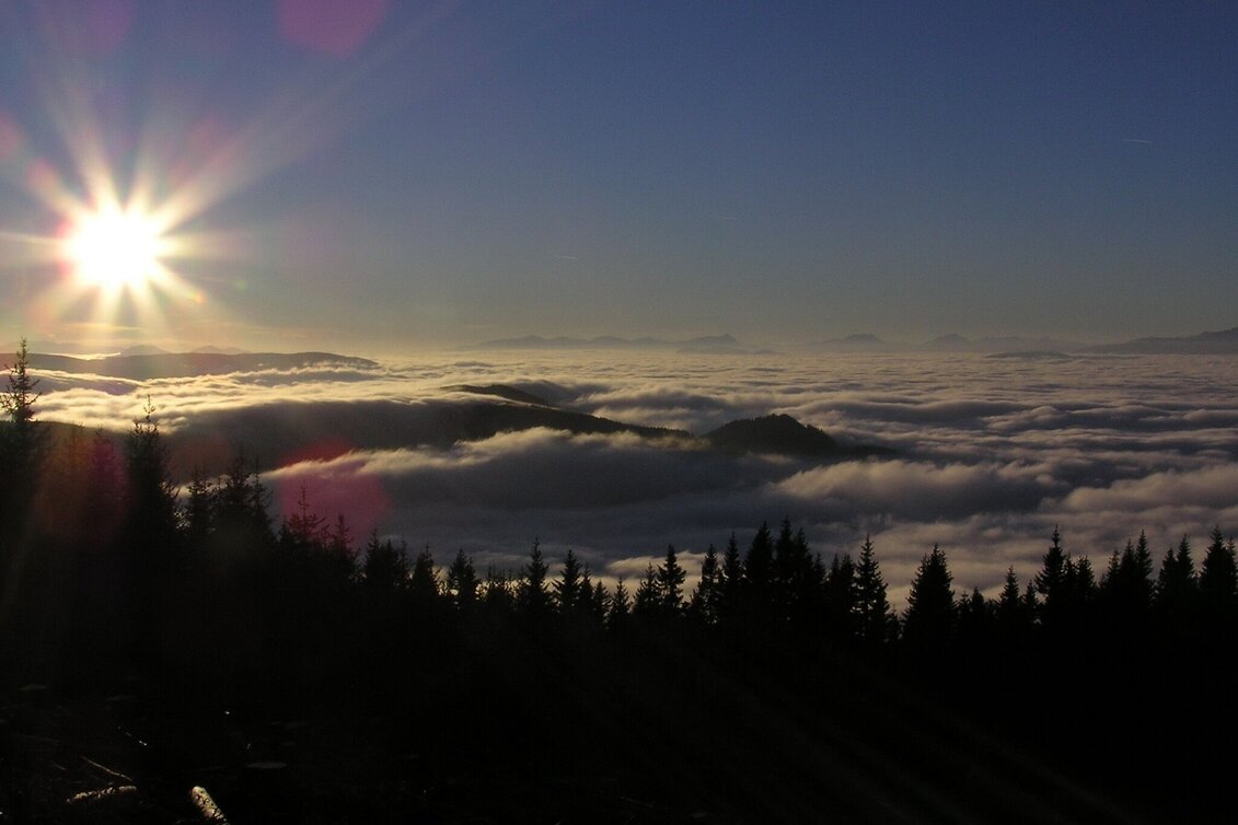 Hiking route Wind Park Loop Trail - Touren-Impression #1 | © Marktgemeinde Langenwang