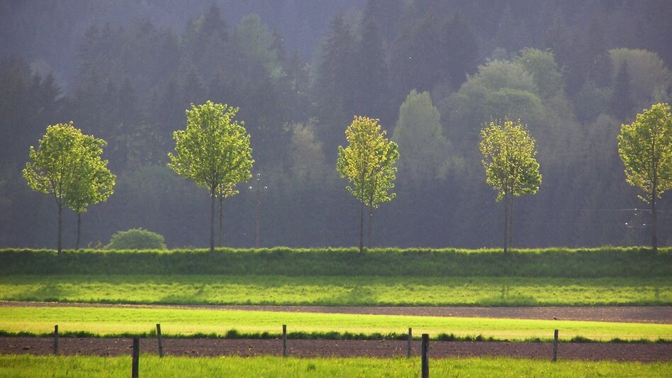 Hiking route Panorama Loop Langenwang - Touren-Impression #2.1 | © Marktgemeinde Langenwang