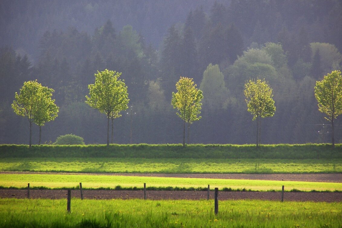 Hiking route Panorama Loop Langenwang - Touren-Impression #1 | © Marktgemeinde Langenwang