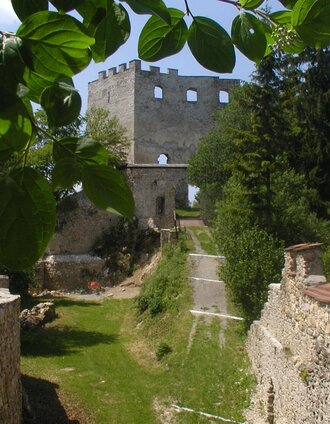 Die Burgruine Hohenwang am Weg | Manfred Polansky | © Marktgemeinde Langenwang