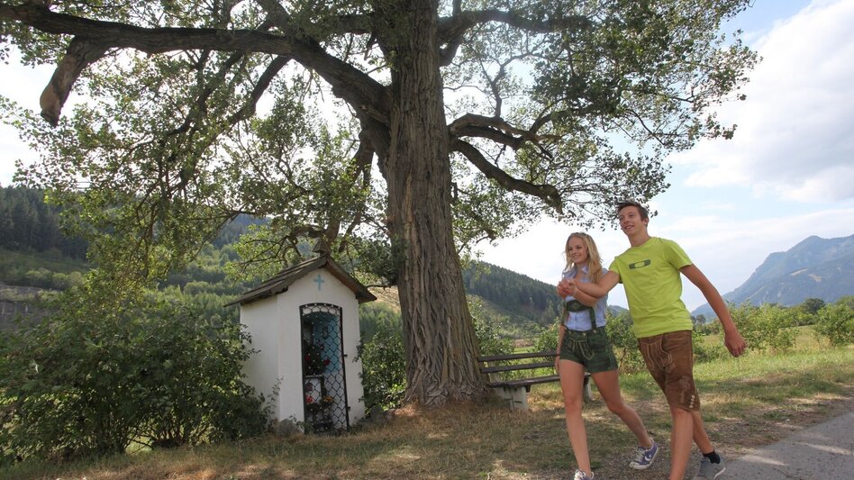 Theme path Marterlweg Route 4 (yellow) - Touren-Impression #2.2 | © Tourismusverband ERZBERG LEOBEN