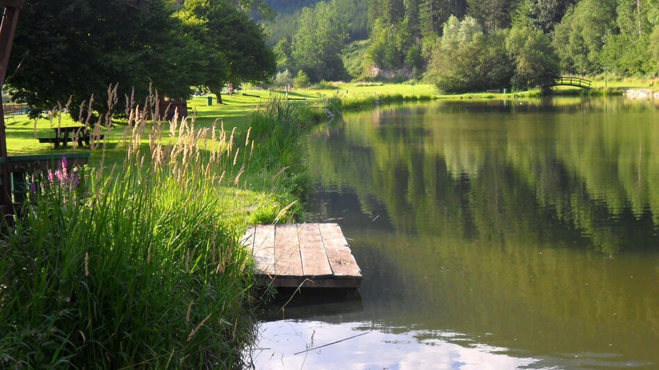 Radfahren Mit dem E Bike auf den Lahnsattel im Naturpark Mürzer Oberland - Touren-Impression #2.3 | © Naturpark Mürzer Oberland
