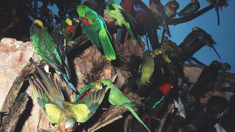 Radfahren Mit dem E Bike auf den Lahnsattel im Naturpark Mürzer Oberland - Touren-Impression #2.7 | © TV Hochsteiermark