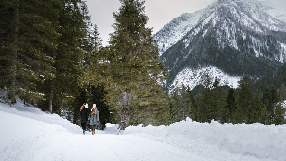 Winter Hiking Winter hike to the Bräualm - Touren-Impression #2.5 | © Erlebnisregion Schladming-Dachstein