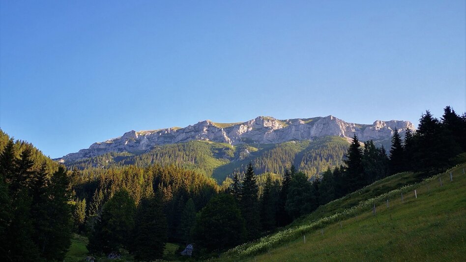 Bergtour Über den Amaliensteig auf die Rax im Naturpark Mürzer Oberland - Touren-Impression #2.1 | © TV Hochsteiermark