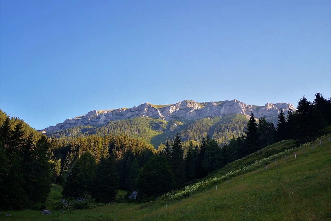 Bergtour Über den Amaliensteig auf die Rax im Naturpark Mürzer Oberland - Touren-Impression #1 | © TV Hochsteiermark