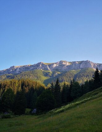 Morgenstimmung auf der Kogleralm | Andreas Steininger | © TV Hochsteiermark