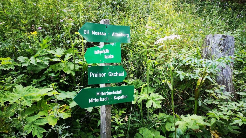 Bergtour Über den Amaliensteig auf die Rax im Naturpark Mürzer Oberland - Touren-Impression #2.2 | © TV Hochsteiermark