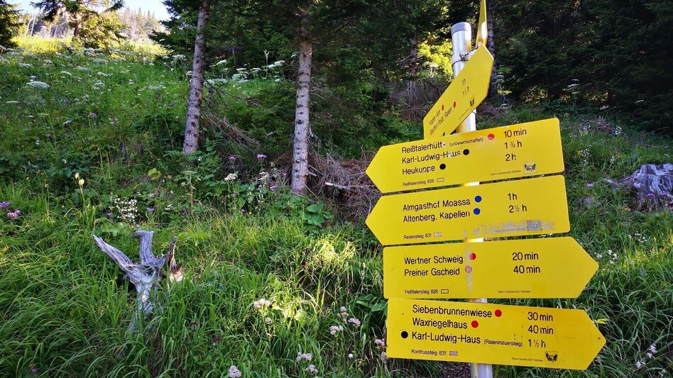 Bergtour Über den Amaliensteig auf die Rax im Naturpark Mürzer Oberland - Touren-Impression #2.3 | © TV Hochsteiermark