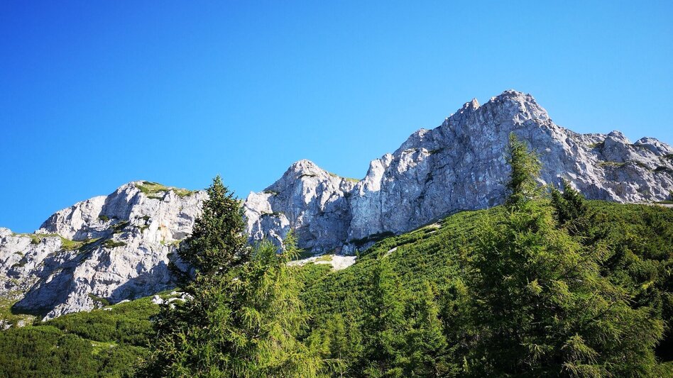 Bergtour Über den Amaliensteig auf die Rax im Naturpark Mürzer Oberland - Touren-Impression #2.6 | © TV Hochsteiermark