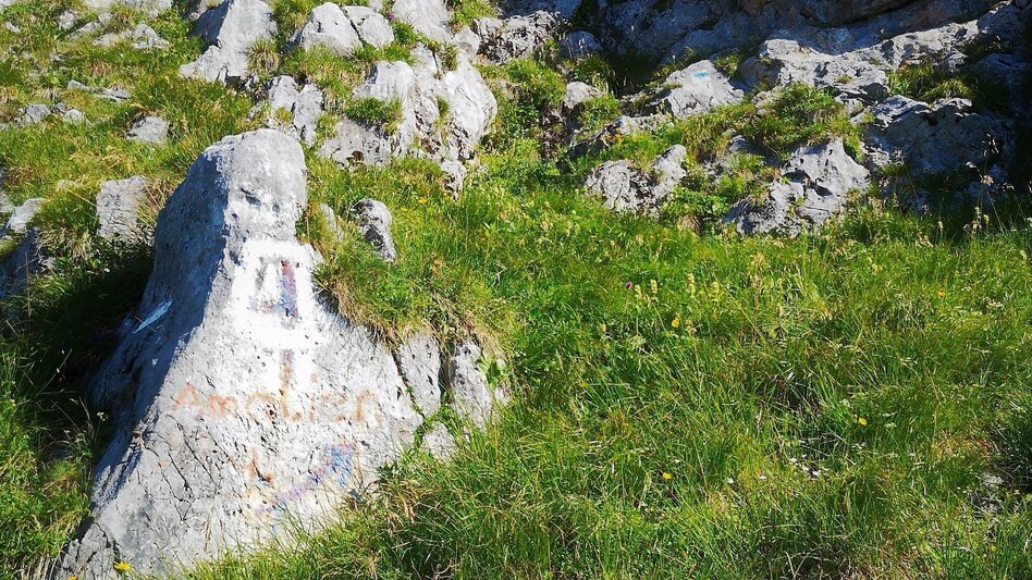 Bergtour Über den Amaliensteig auf die Rax im Naturpark Mürzer Oberland - Touren-Impression #2.8 | © TV Hochsteiermark