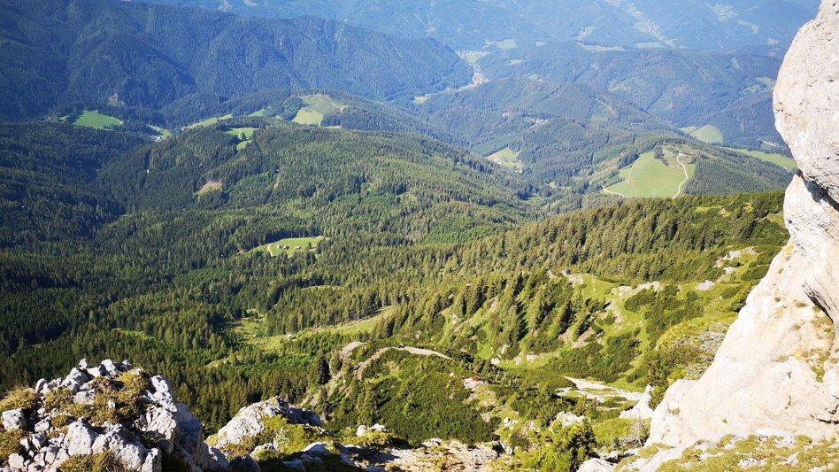 Bergtour Über den Amaliensteig auf die Rax im Naturpark Mürzer Oberland - Touren-Impression #2.10 | © TV Hochsteiermark