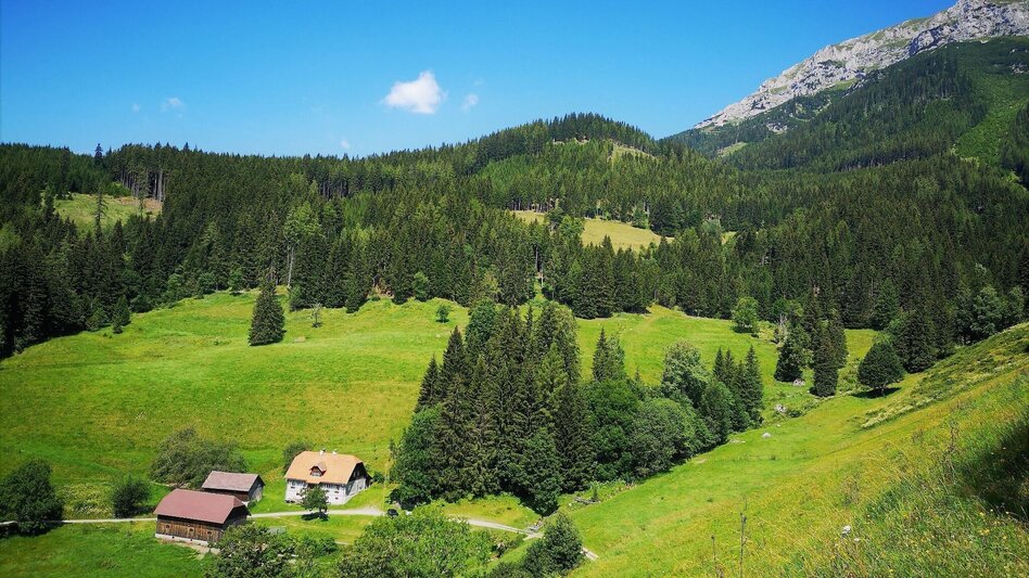 Bergtour Über den Amaliensteig auf die Rax im Naturpark Mürzer Oberland - Touren-Impression #2.12 | © TV Hochsteiermark