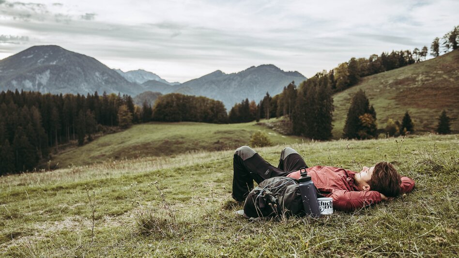 Hiking route Lynx Trail - Through Austria’s wild heartlands - Touren-Impression #2.3 | © TV Gesäuse