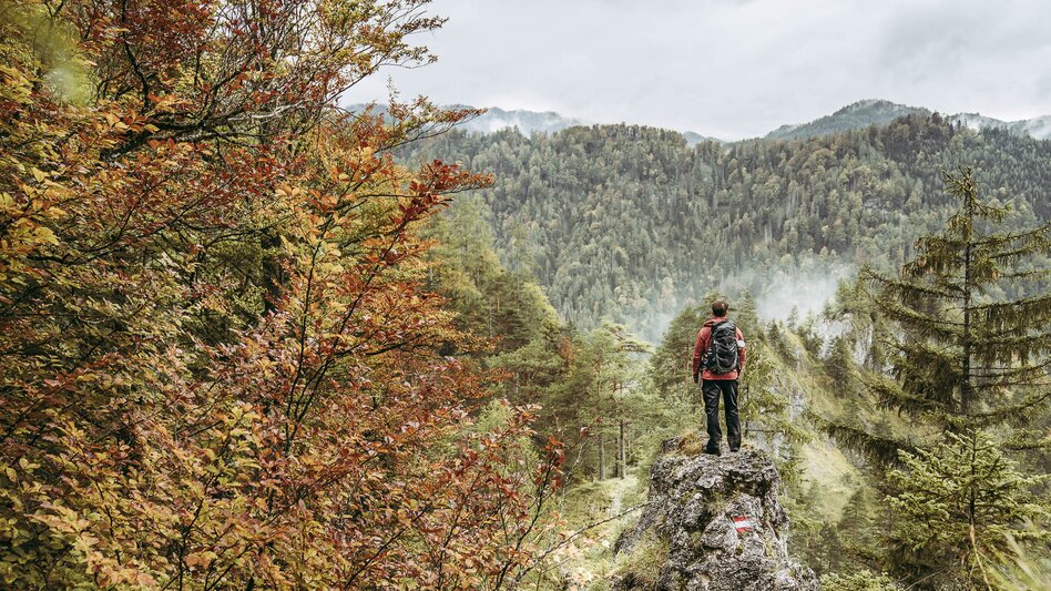 Hiking route Lynx Trail - Through Austria’s wild heartlands - Touren-Impression #2.4 | © TV Gesäuse