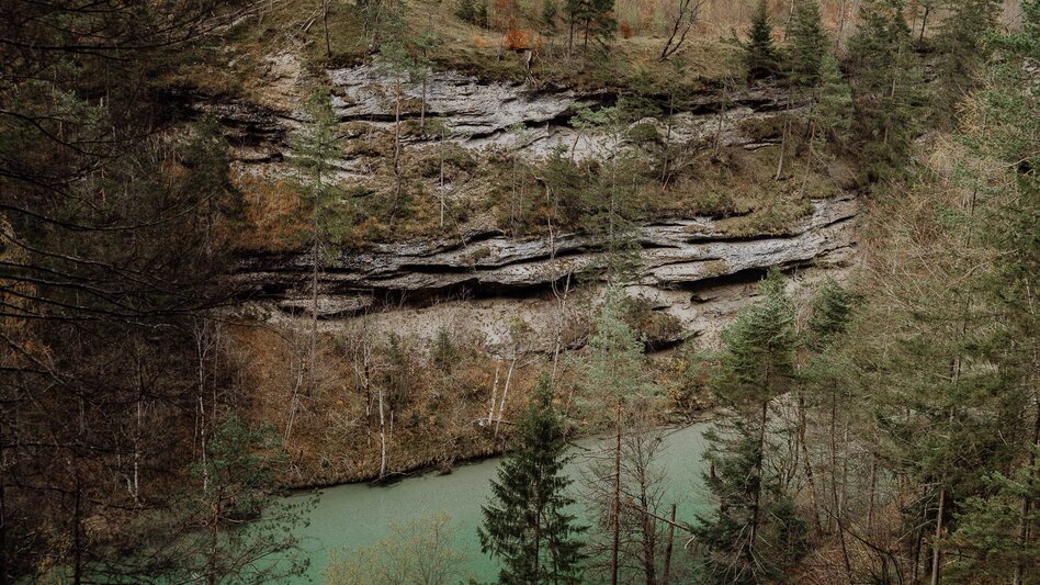 Hiking route Lynx Trail - Through Austria’s wild heartlands - Touren-Impression #2.10 | © TV Gesäuse