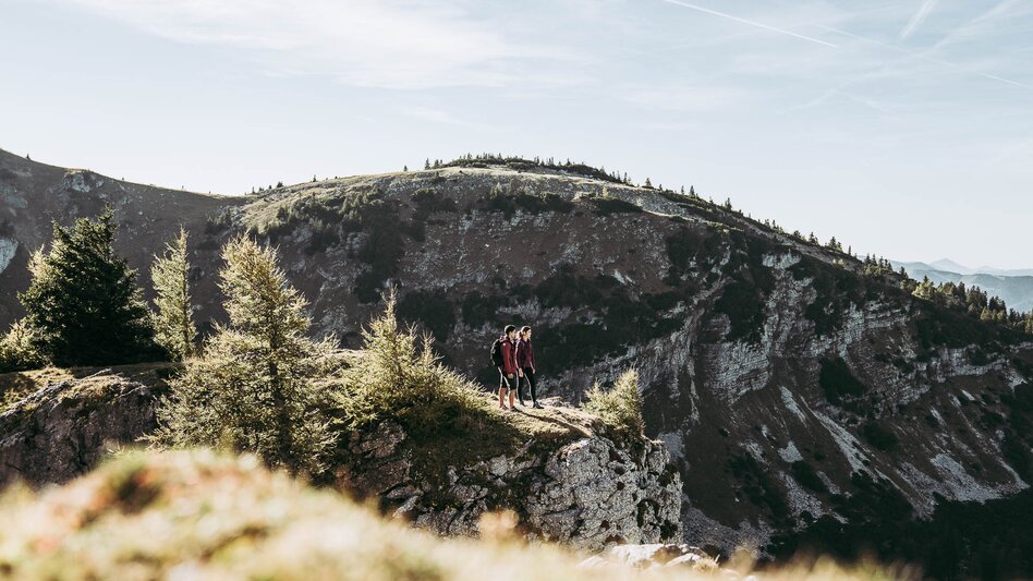 Hiking route Lynx Trail - Through Austria’s wild heartlands - Touren-Impression #2.12 | © TV Gesäuse