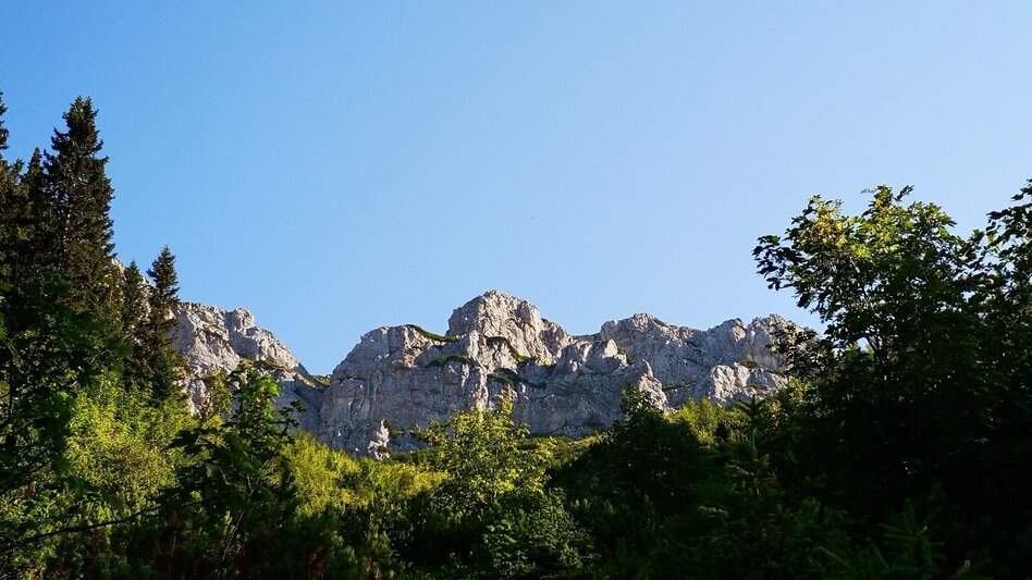 Hiking route Family hike to the Waxriegelhaus in the Mürzer Oberland Nature Park - Touren-Impression #2.3 | © TV Hochsteiermark