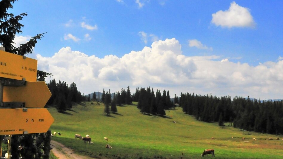 Hiking route Imperial hike to the Hinteralm in the Mürzer Oberland Nature Park - Touren-Impression #2.6 | © TV Hochsteiermark