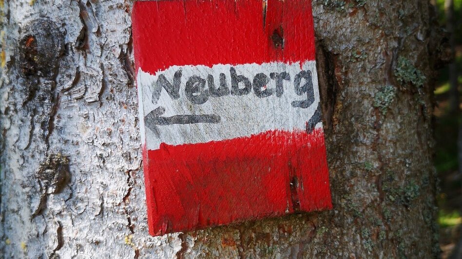 Hiking route Via the "Farfel" to Schneealm and Rauhenstein in the Mürzer Oberland Nature Park - Touren-Impression #2.6 | © TV Hochsteiermark